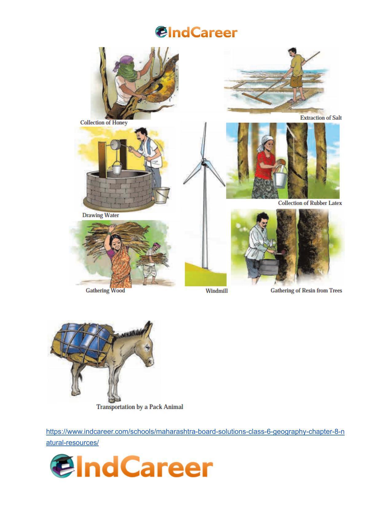 Maharashtra Board Solutions Class 6-Geography: Chapter 8- Natural Resources - Page 9