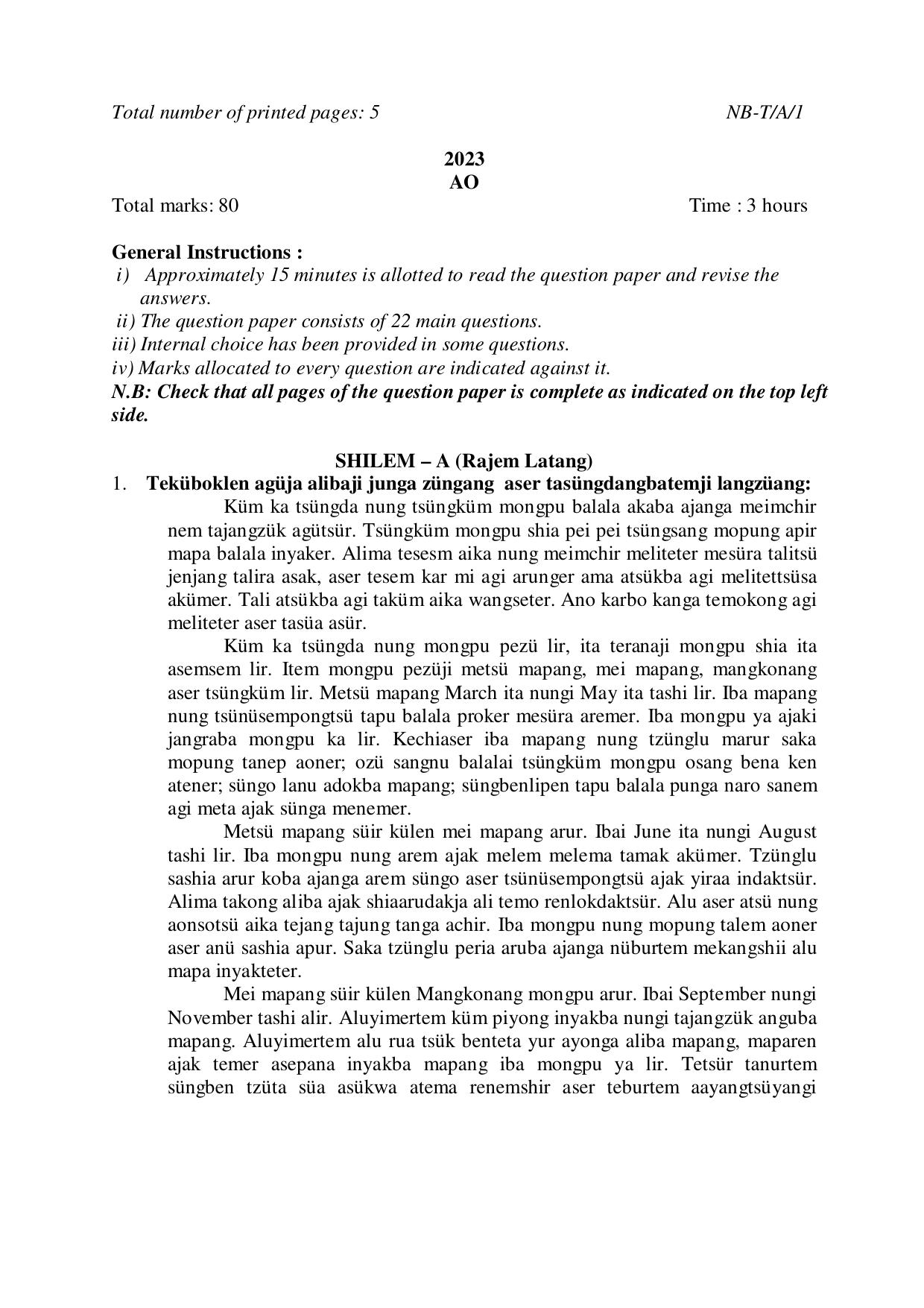Nagaland Board NBSE Class 10 /  HSLC 2023 Question Paper (All Subjects) - Page 17