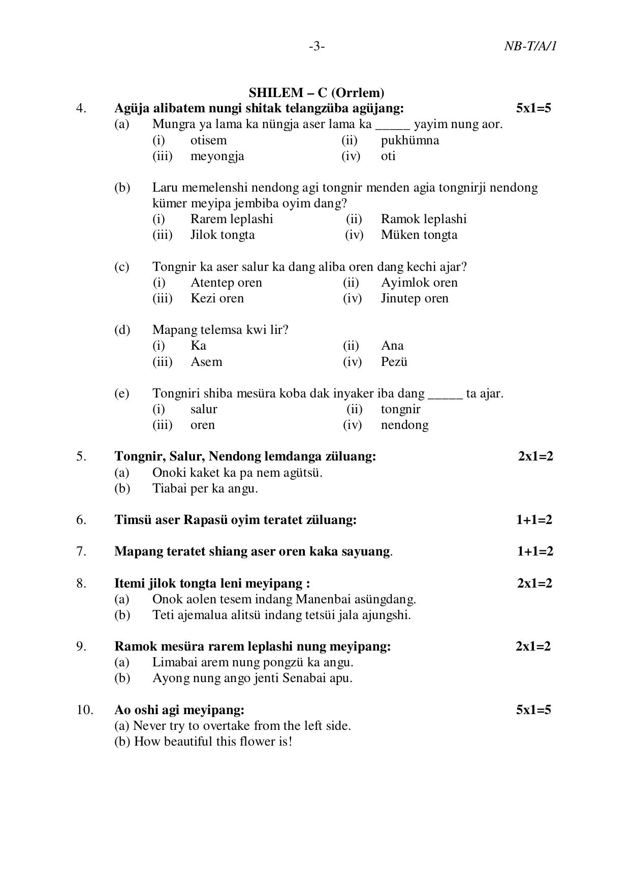 Nagaland Board NBSE Class 10 /  HSLC 2023 Question Paper (All Subjects) - Page 19