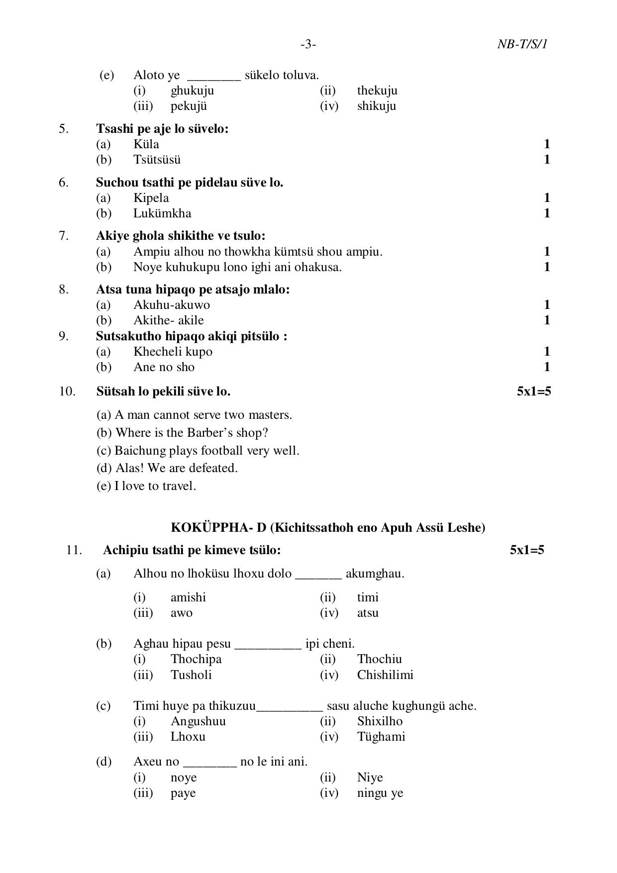 Nagaland Board NBSE Class 10 /  HSLC 2023 Question Paper (All Subjects) - Page 24