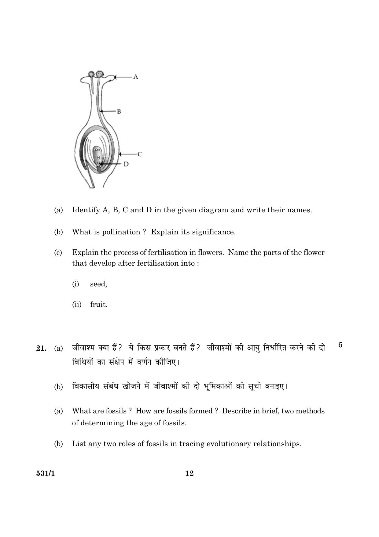 CBSE Class 10 NSQF 531 Science Set 1 2016 Question Paper - Page 12