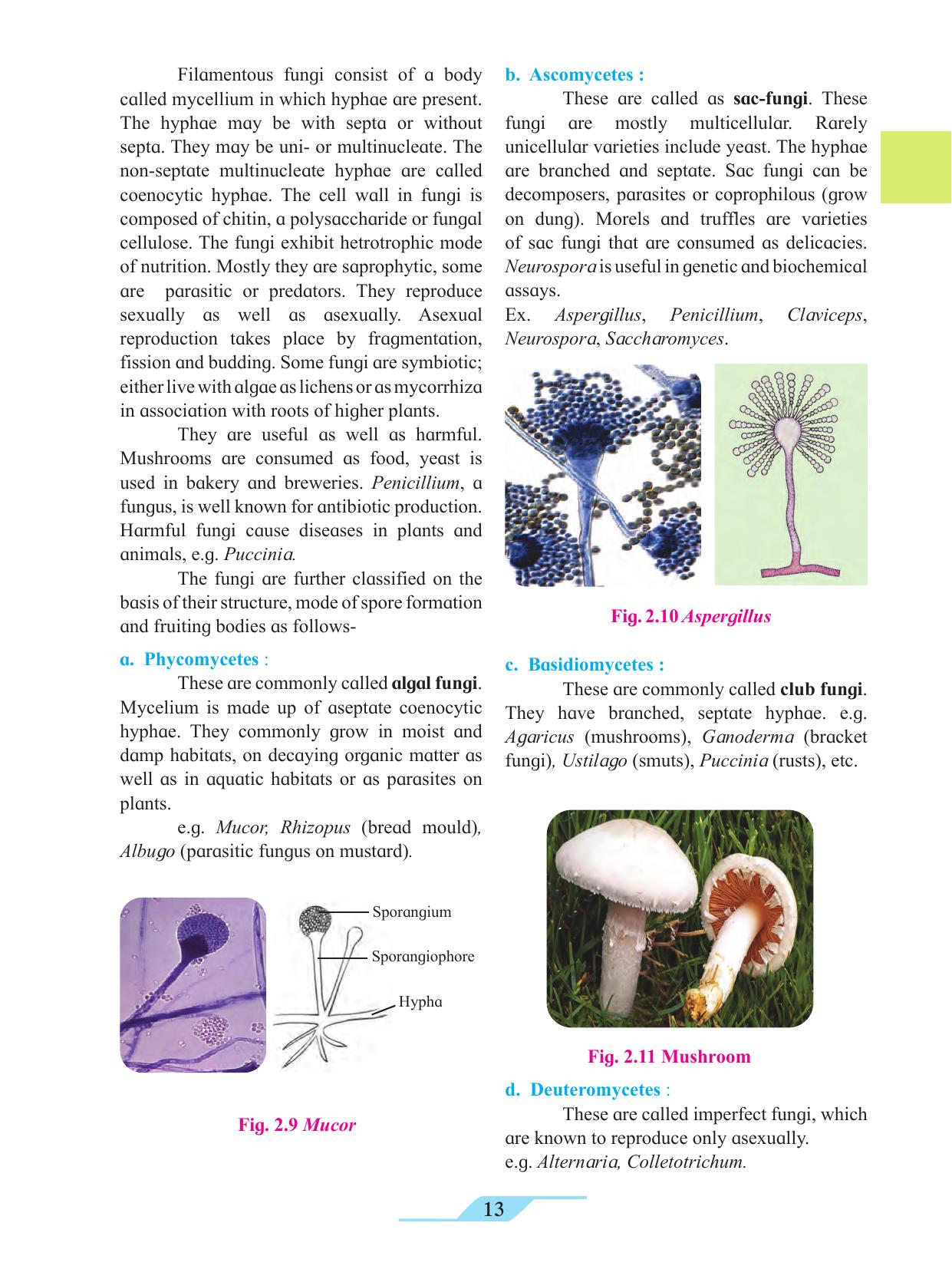 Maharashtra Board Class 11 Biology Textbook - Page 23