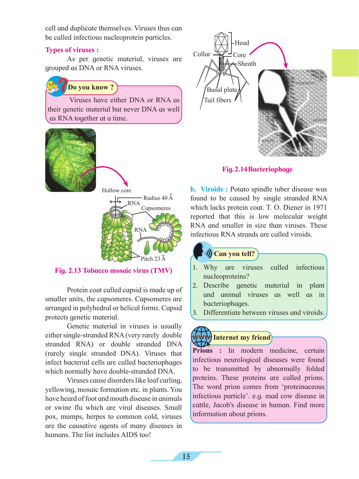 Maharashtra Board Class 11 Biology Textbook - Page 25