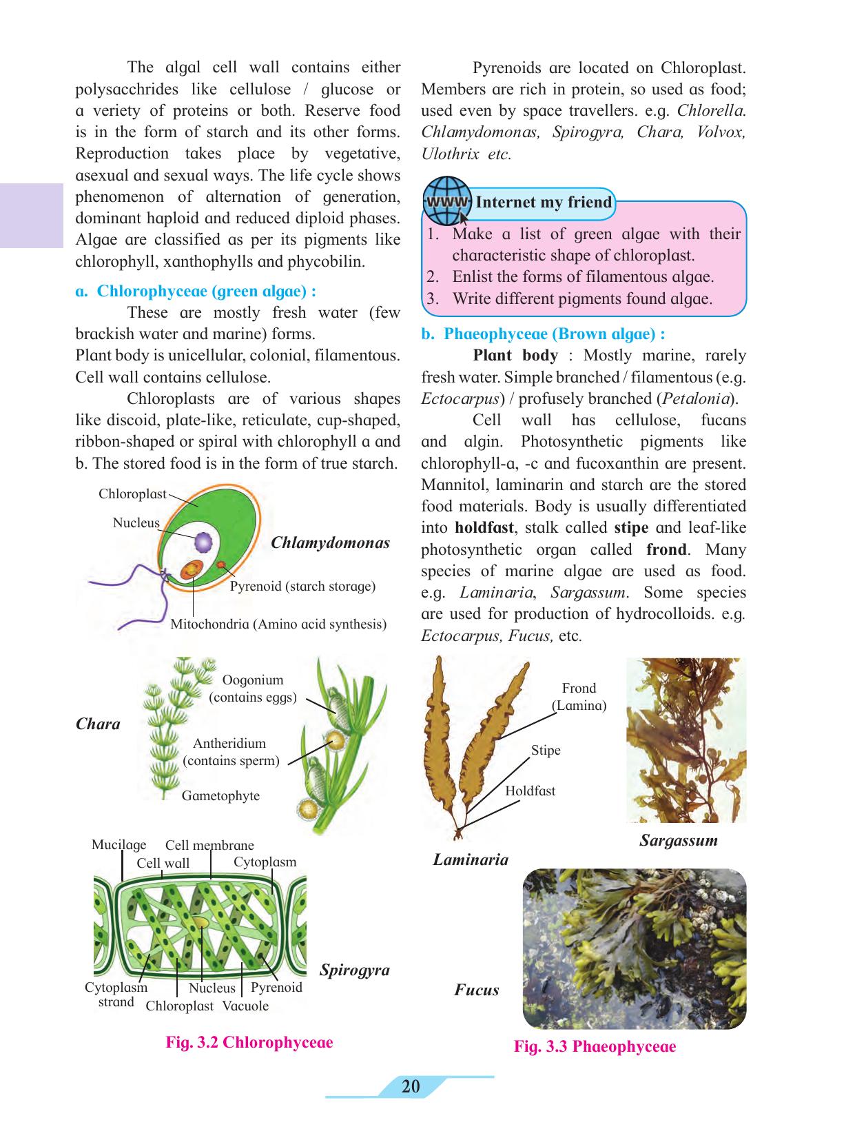 Maharashtra Board Class 11 Biology Textbook - Page 30