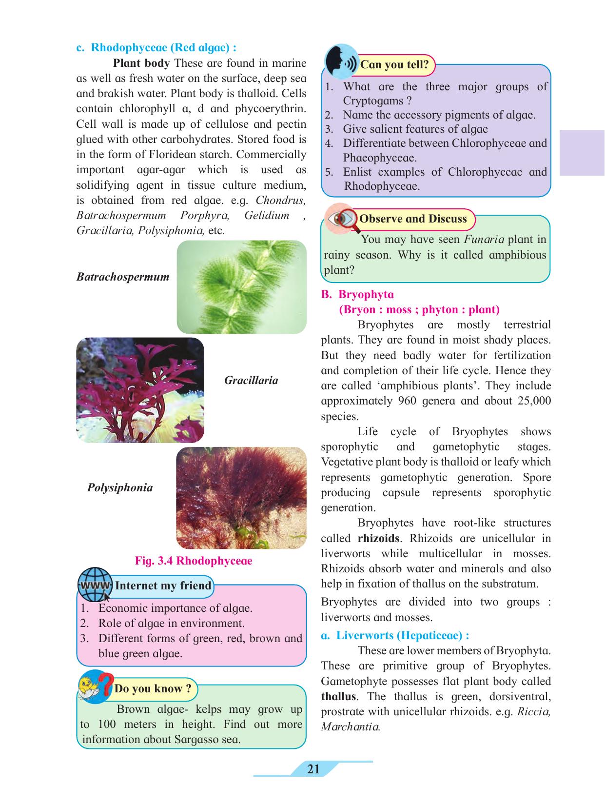 Maharashtra Board Class 11 Biology Textbook - Page 31