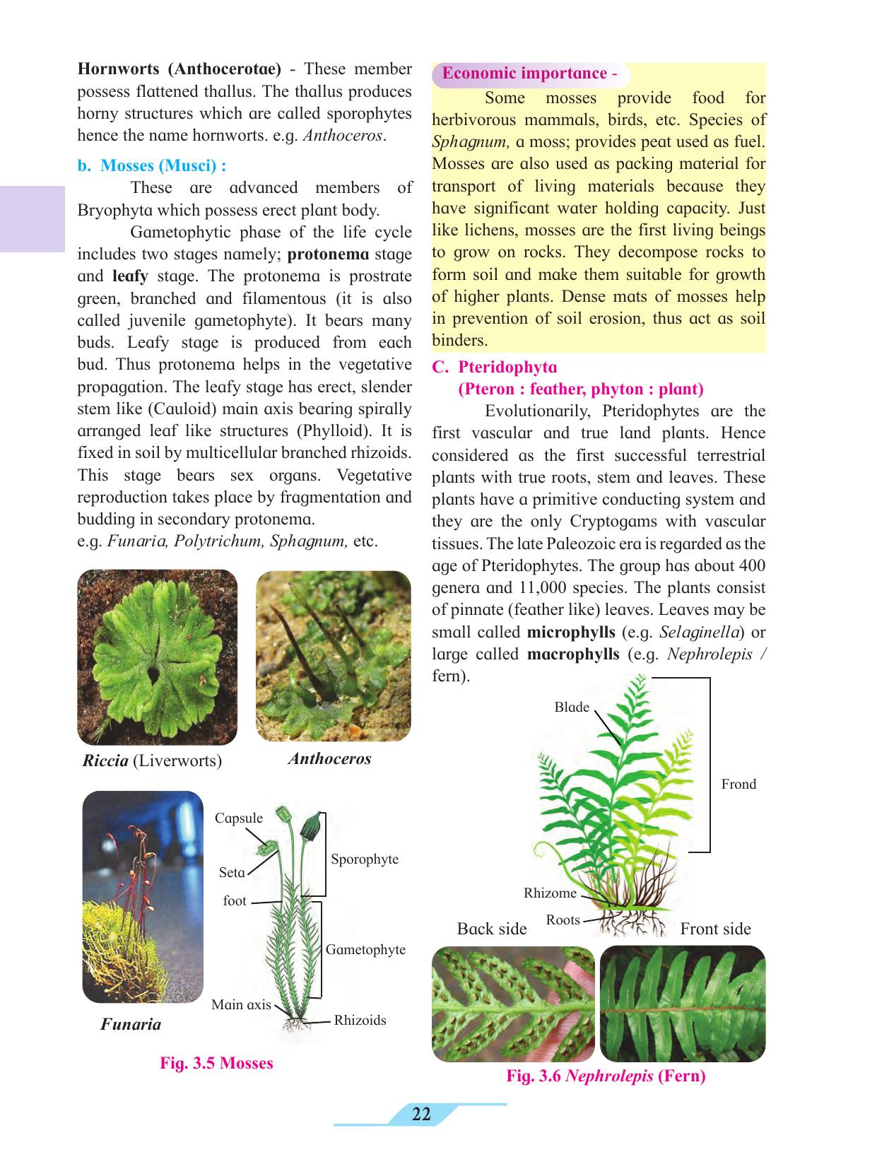 Maharashtra Board Class 11 Biology Textbook - Page 32