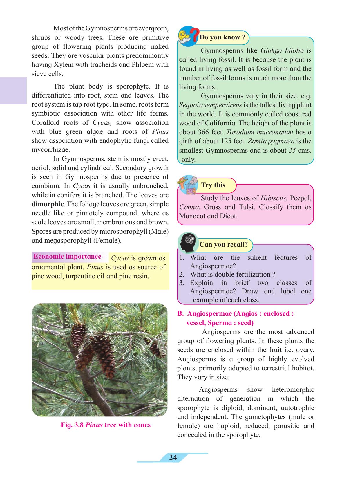 Maharashtra Board Class 11 Biology Textbook - Page 34