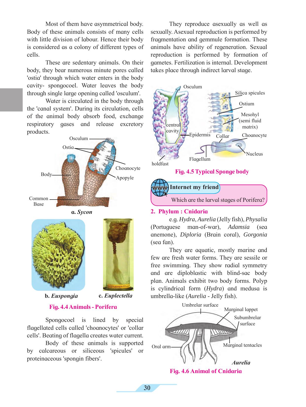 Maharashtra Board Class 11 Biology Textbook - Page 40