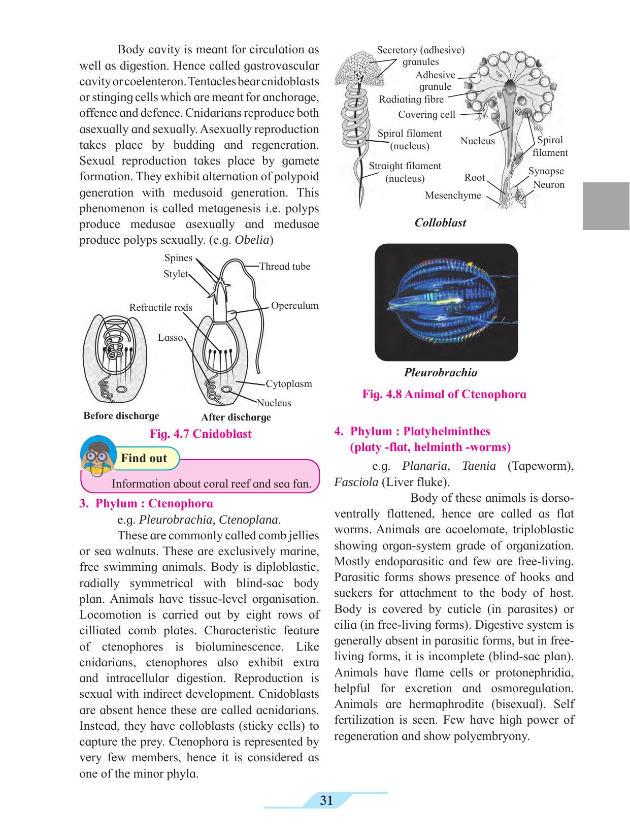 Maharashtra Board Class 11 Biology Textbook - Page 41
