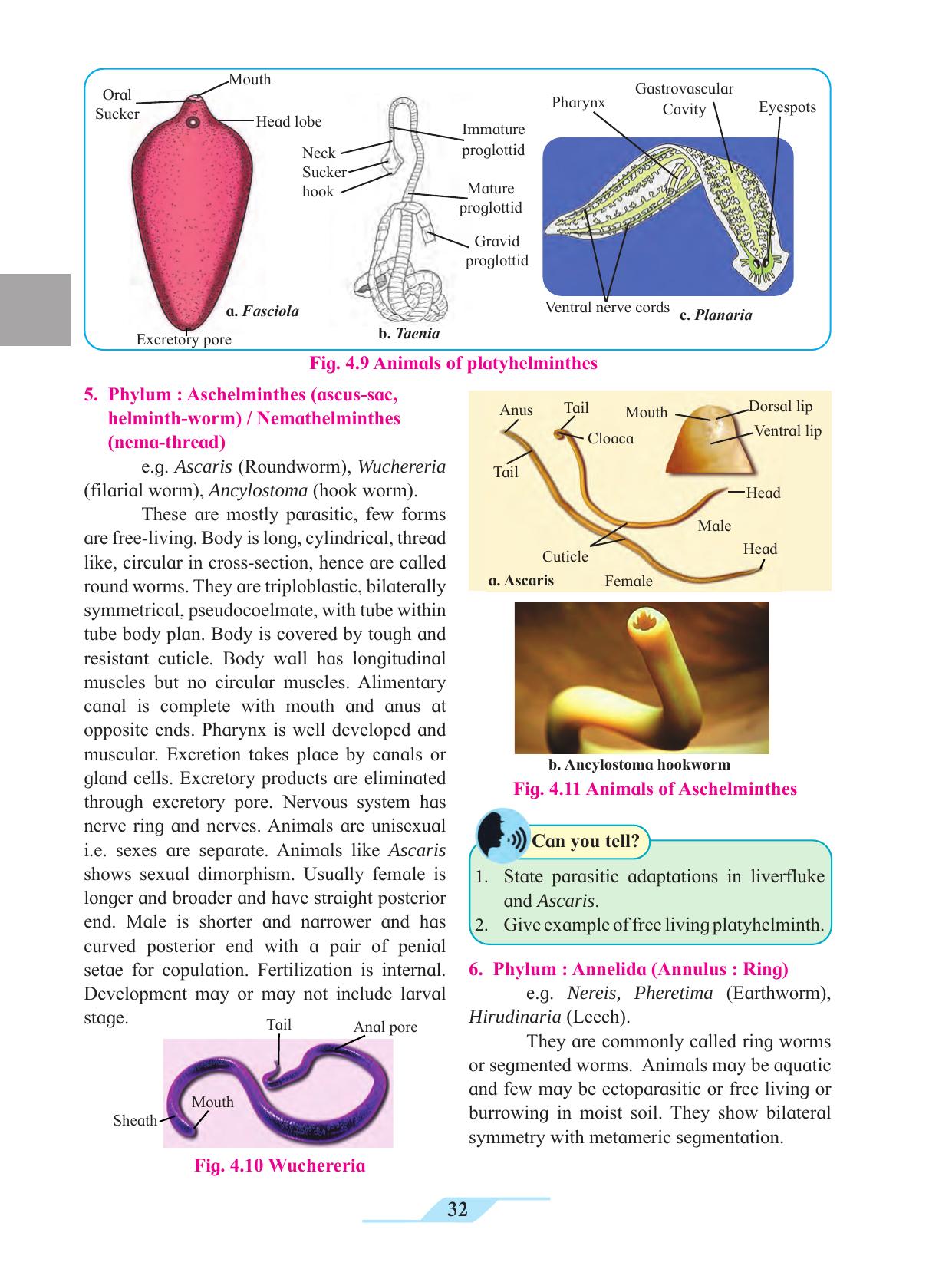 Maharashtra Board Class 11 Biology Textbook - Page 42