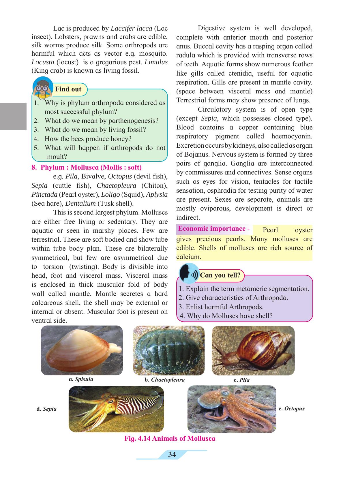 Maharashtra Board Class 11 Biology Textbook - Page 44