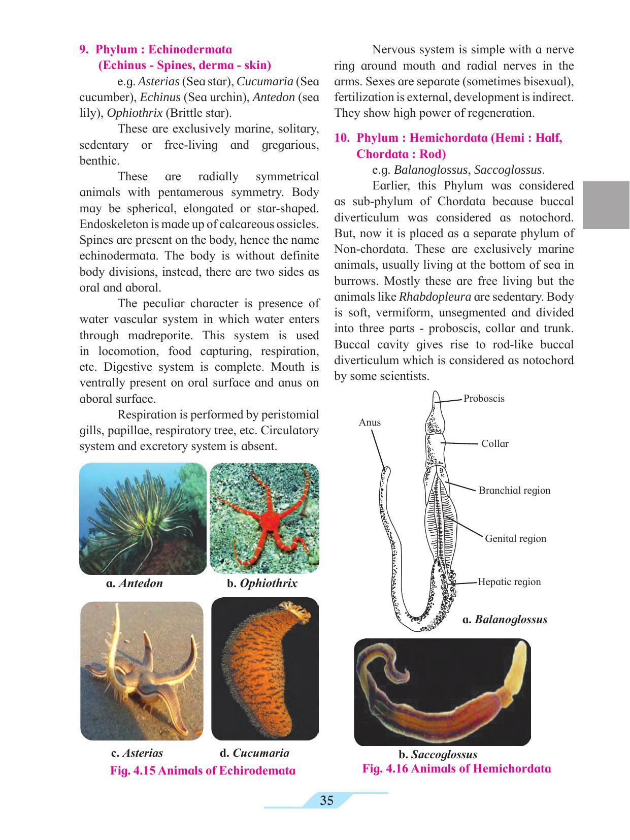 Maharashtra Board Class 11 Biology Textbook - Page 45