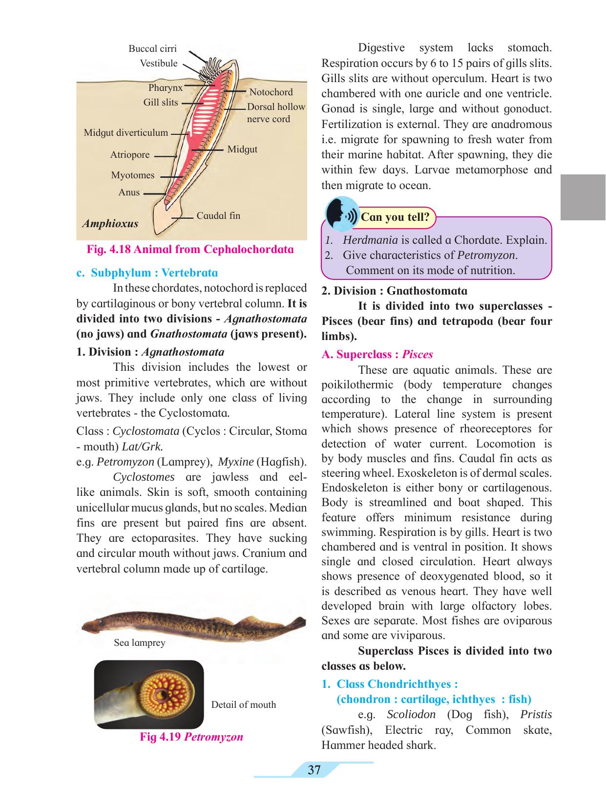 Maharashtra Board Class 11 Biology Textbook - Page 47