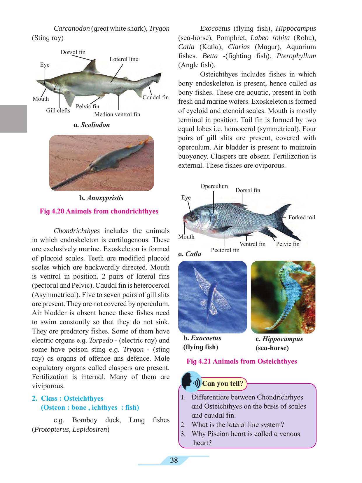 Maharashtra Board Class 11 Biology Textbook - Page 48