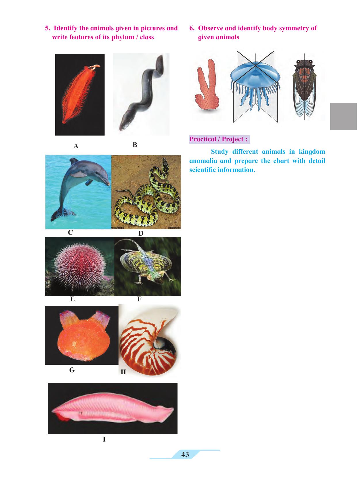 Maharashtra Board Class 11 Biology Textbook - Page 53