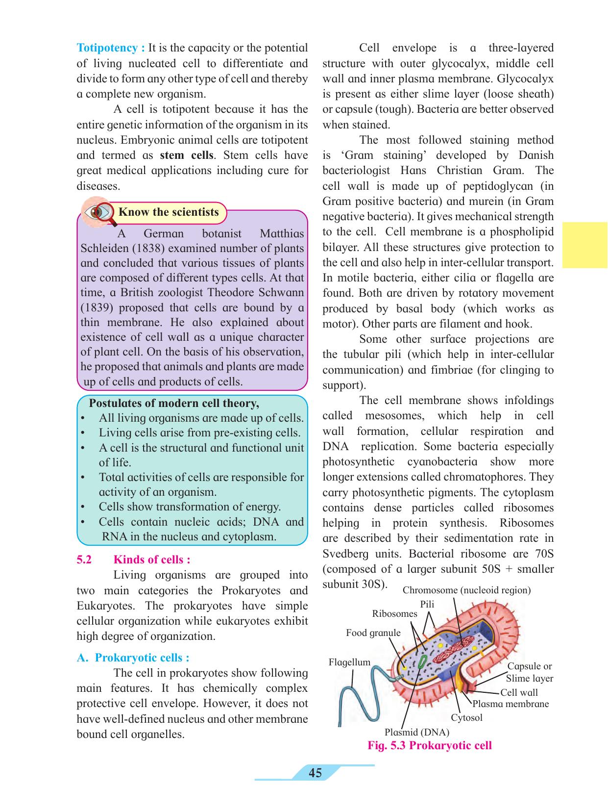 Maharashtra Board Class 11 Biology Textbook - Page 55