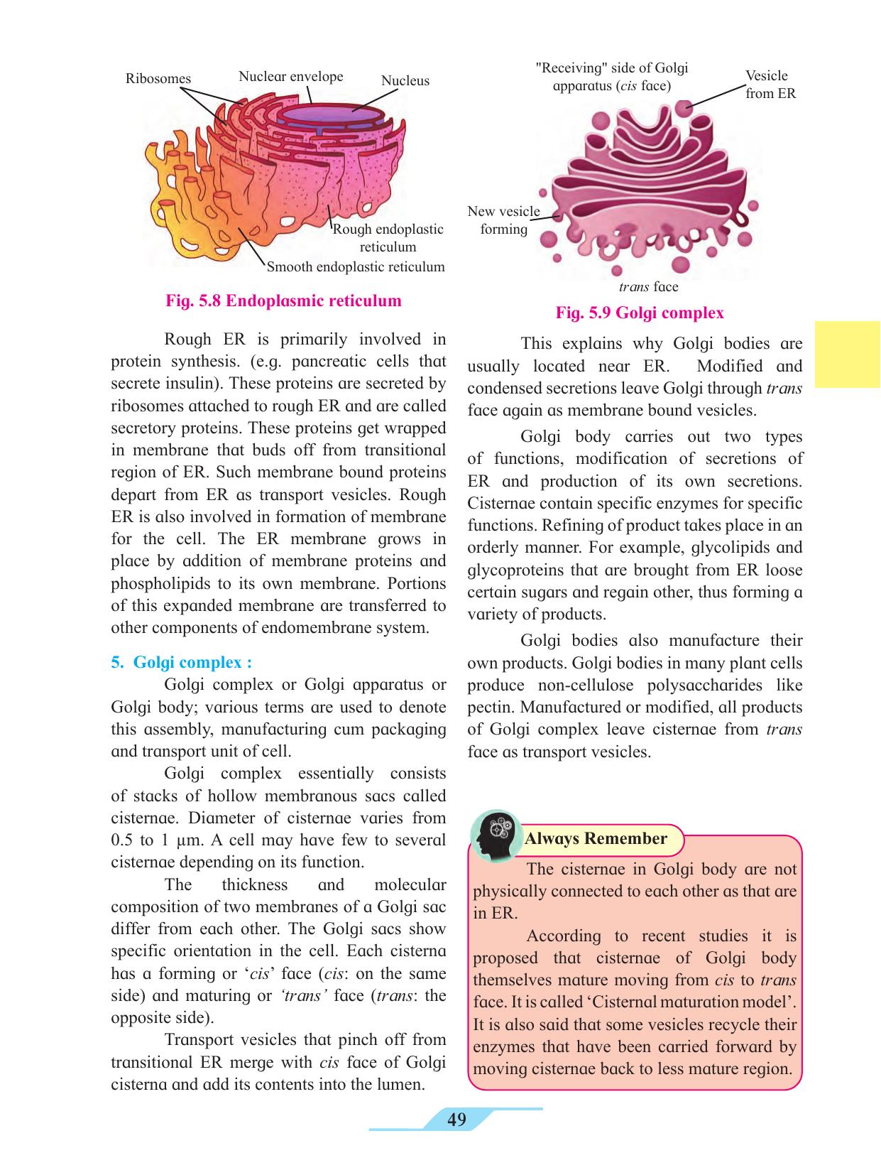 Maharashtra Board Class 11 Biology Textbook - Page 59