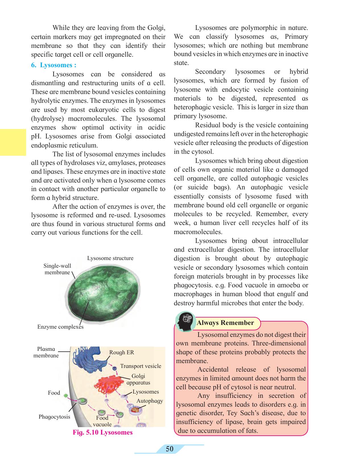 Maharashtra Board Class 11 Biology Textbook - Page 60