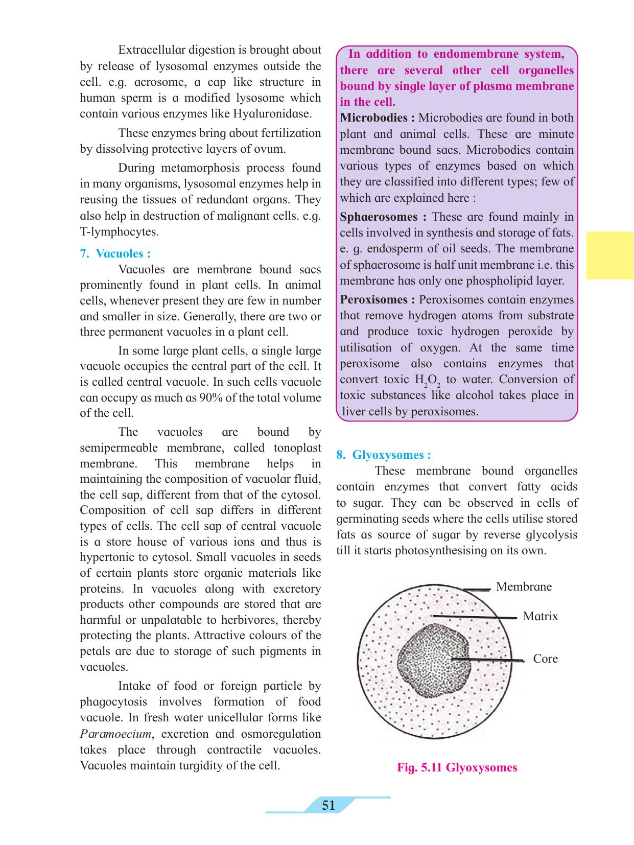 Maharashtra Board Class 11 Biology Textbook - Page 61