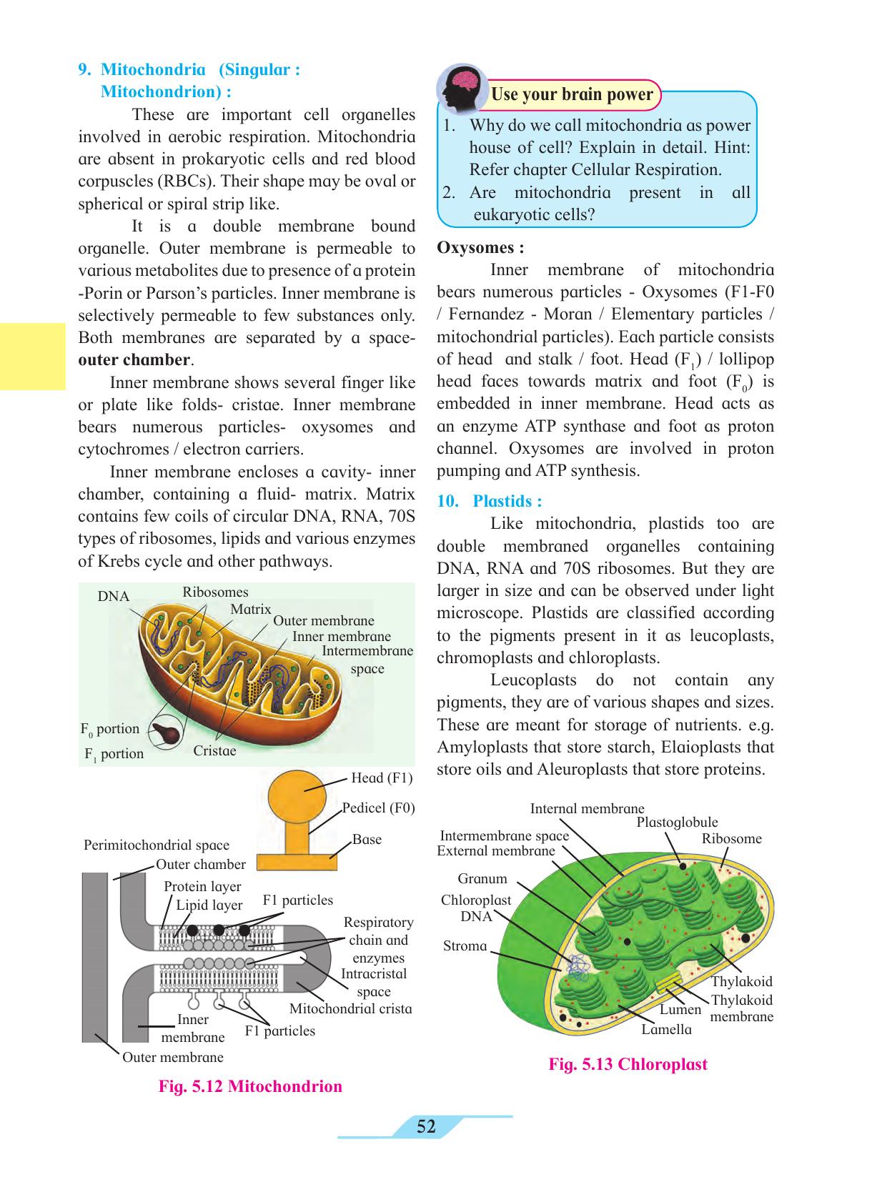 Maharashtra Board Class 11 Biology Textbook - Page 62