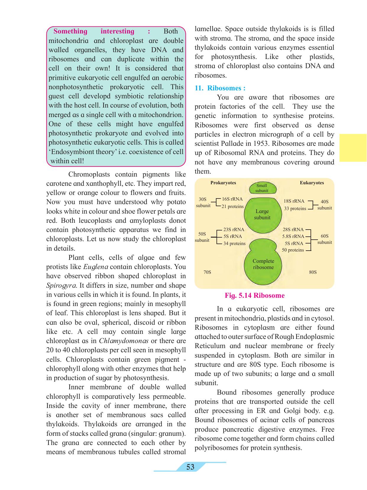 Maharashtra Board Class 11 Biology Textbook - Page 63