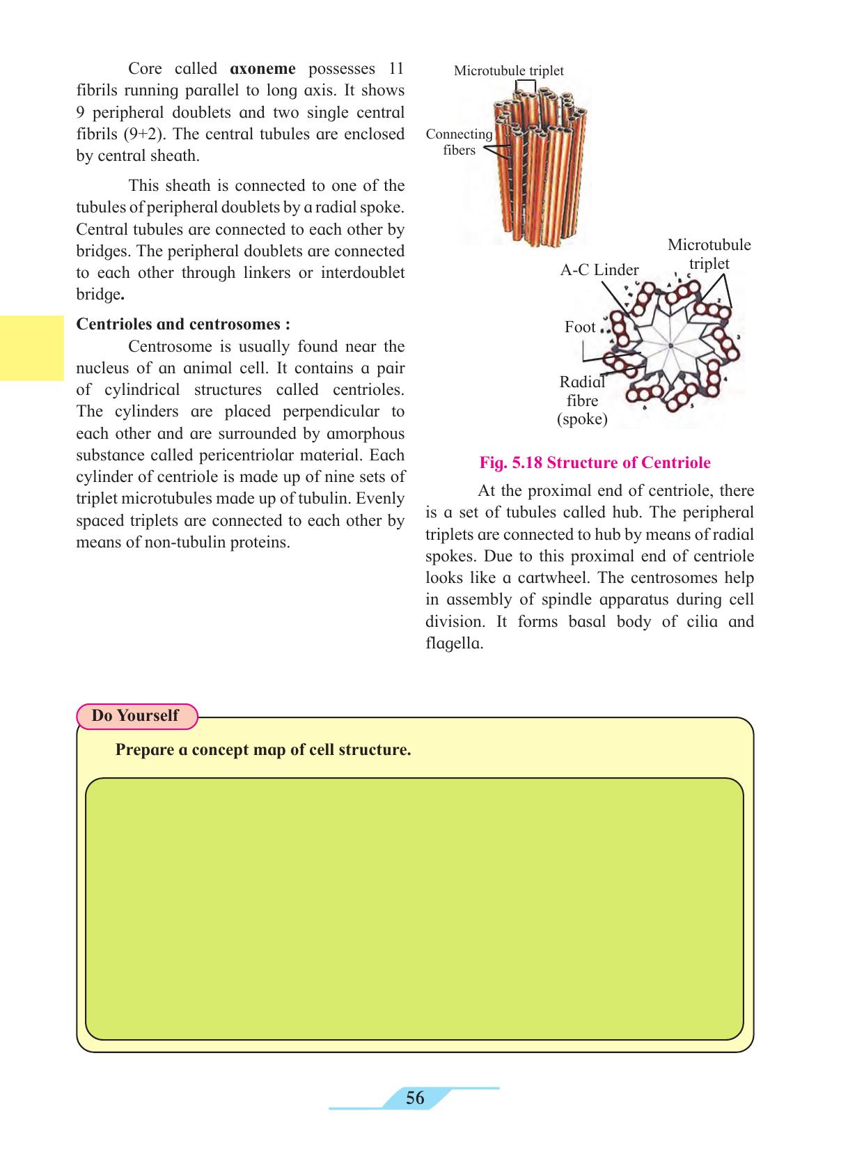 Maharashtra Board Class 11 Biology Textbook - Page 66