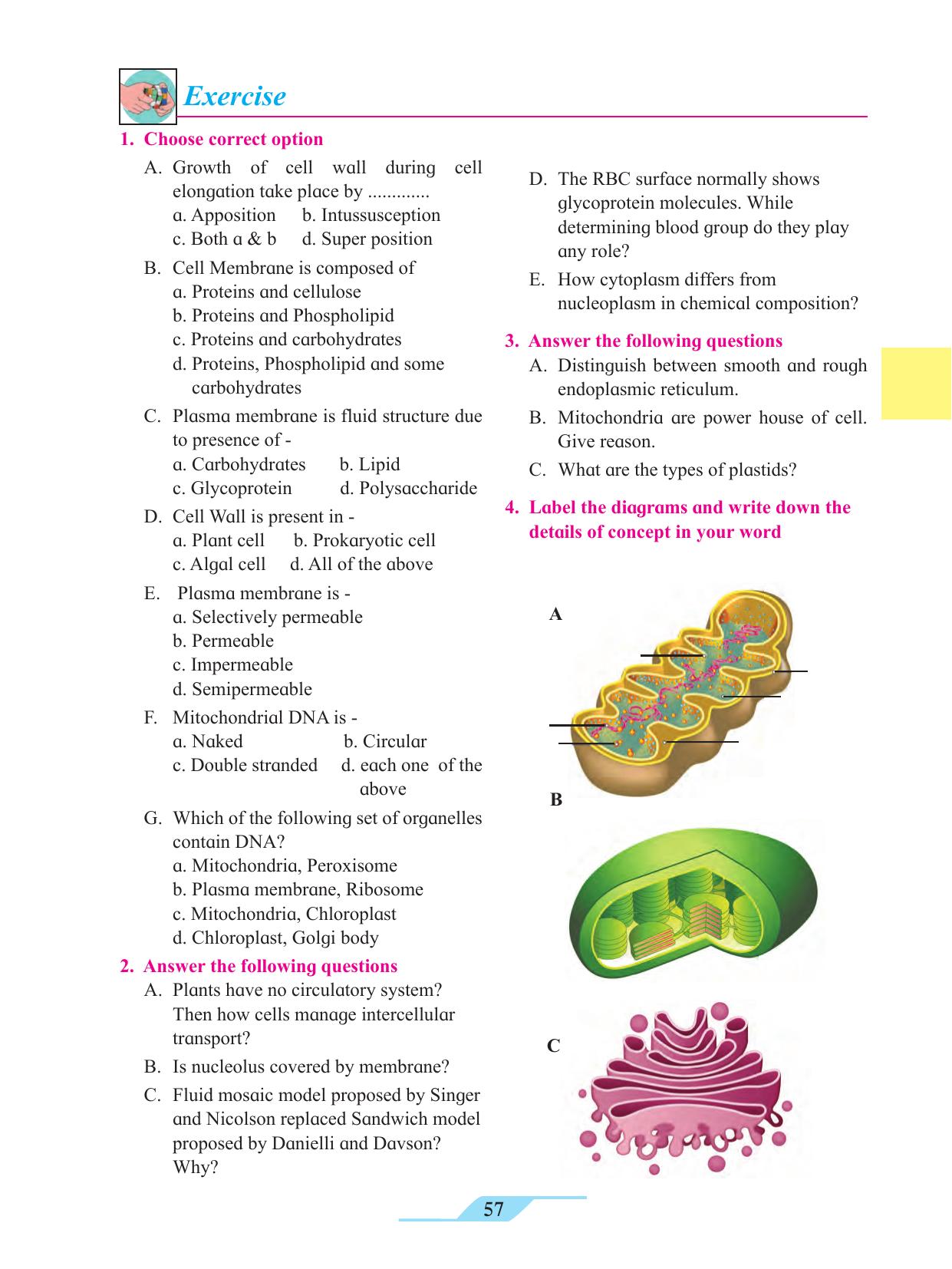 Maharashtra Board Class 11 Biology Textbook - Page 67