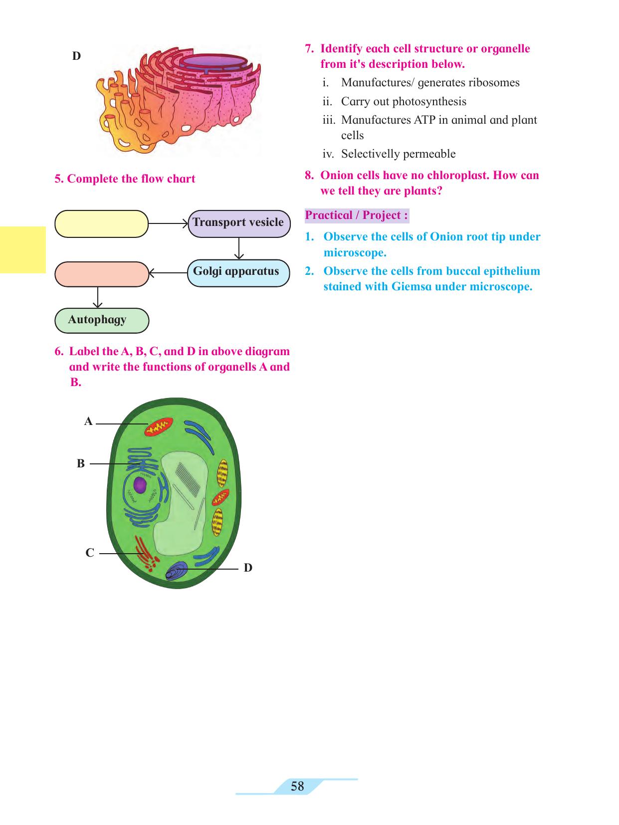 Maharashtra Board Class 11 Biology Textbook - Page 68