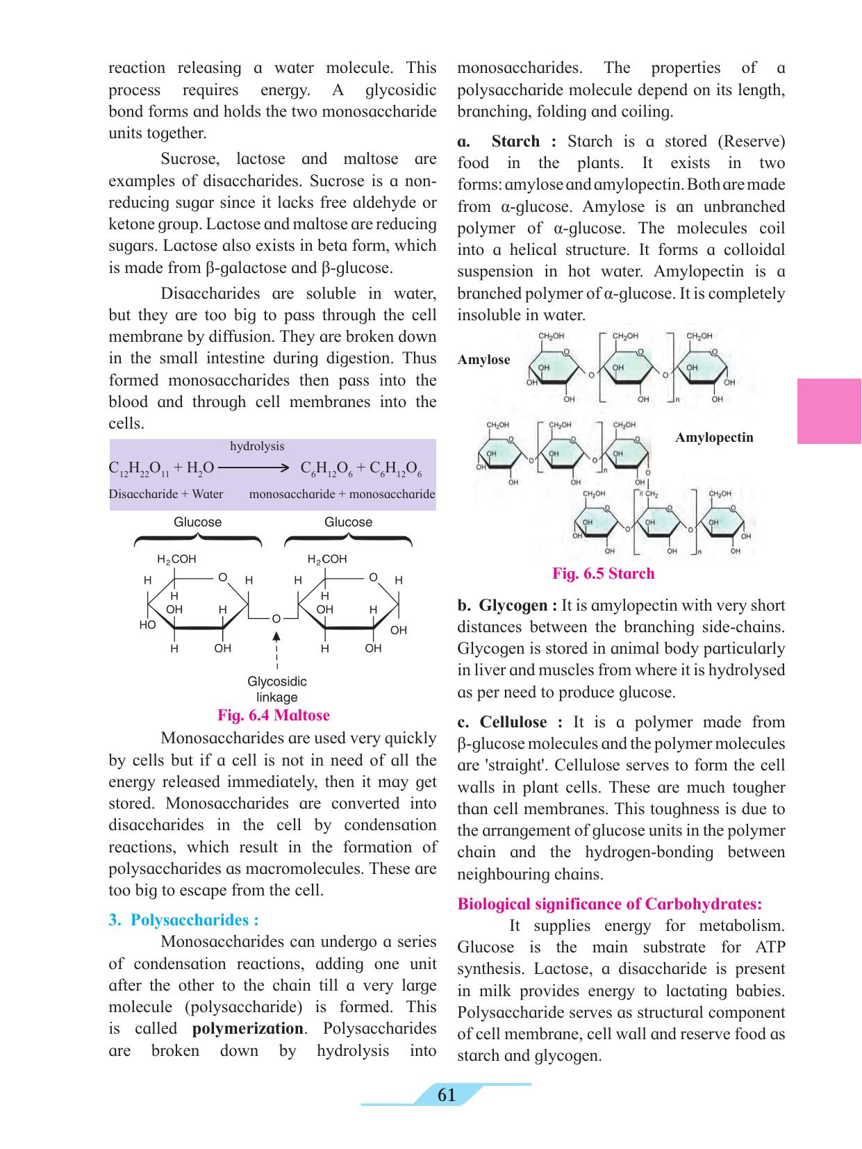 Maharashtra Board Class 11 Biology Textbook - Page 71