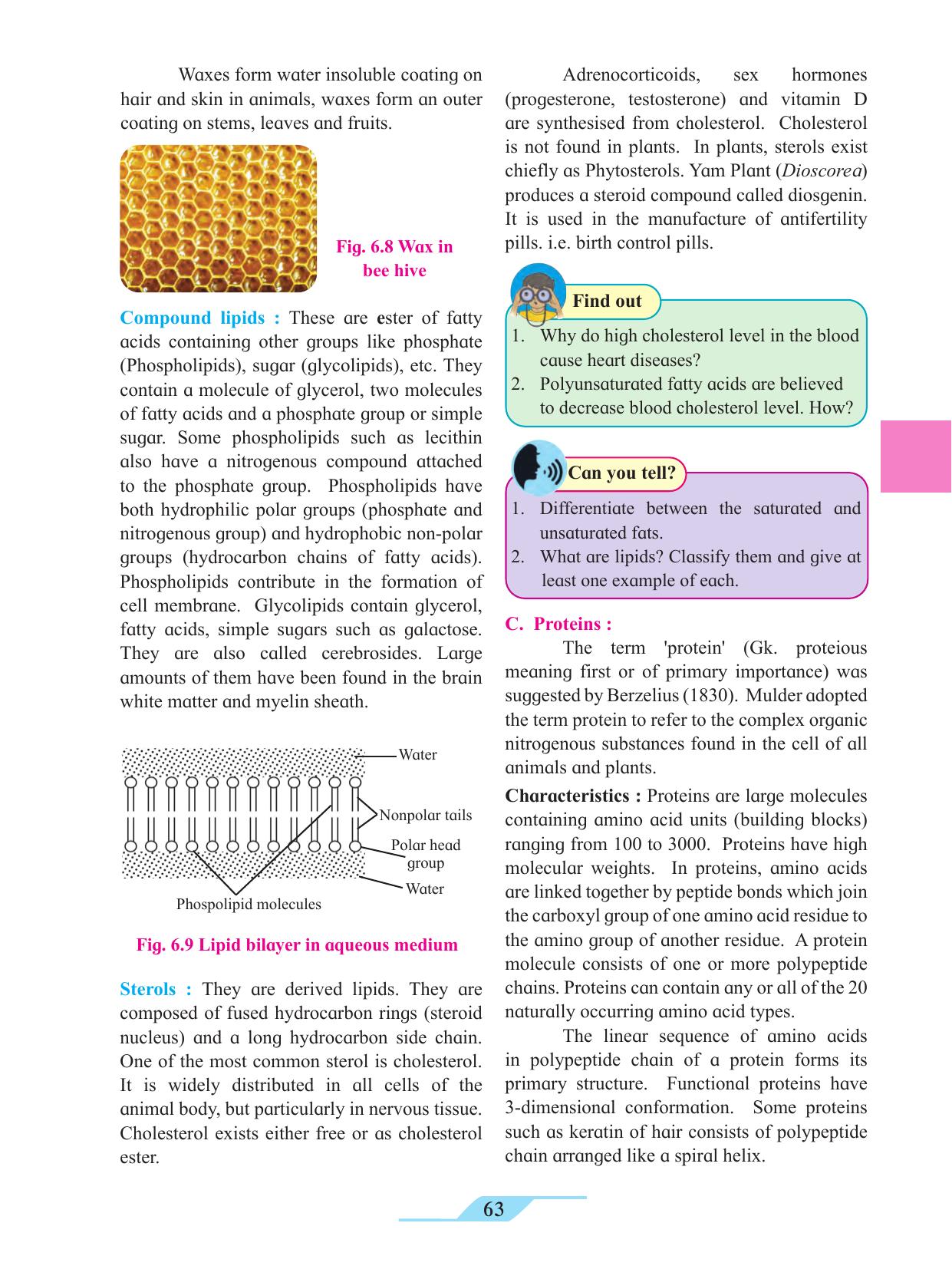 Maharashtra Board Class 11 Biology Textbook - Page 73