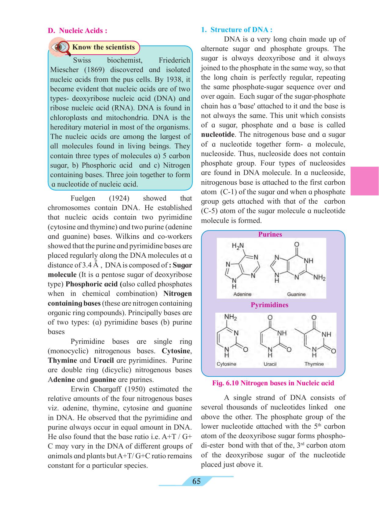 Maharashtra Board Class 11 Biology Textbook - Page 75