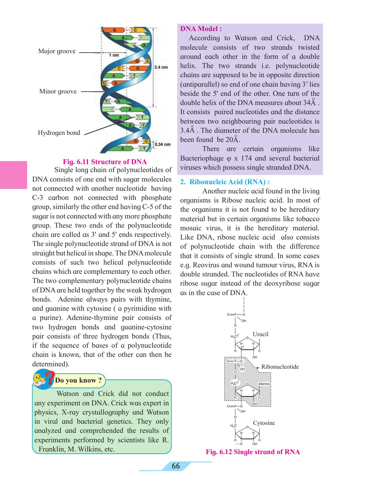 Maharashtra Board Class 11 Biology Textbook - Page 76