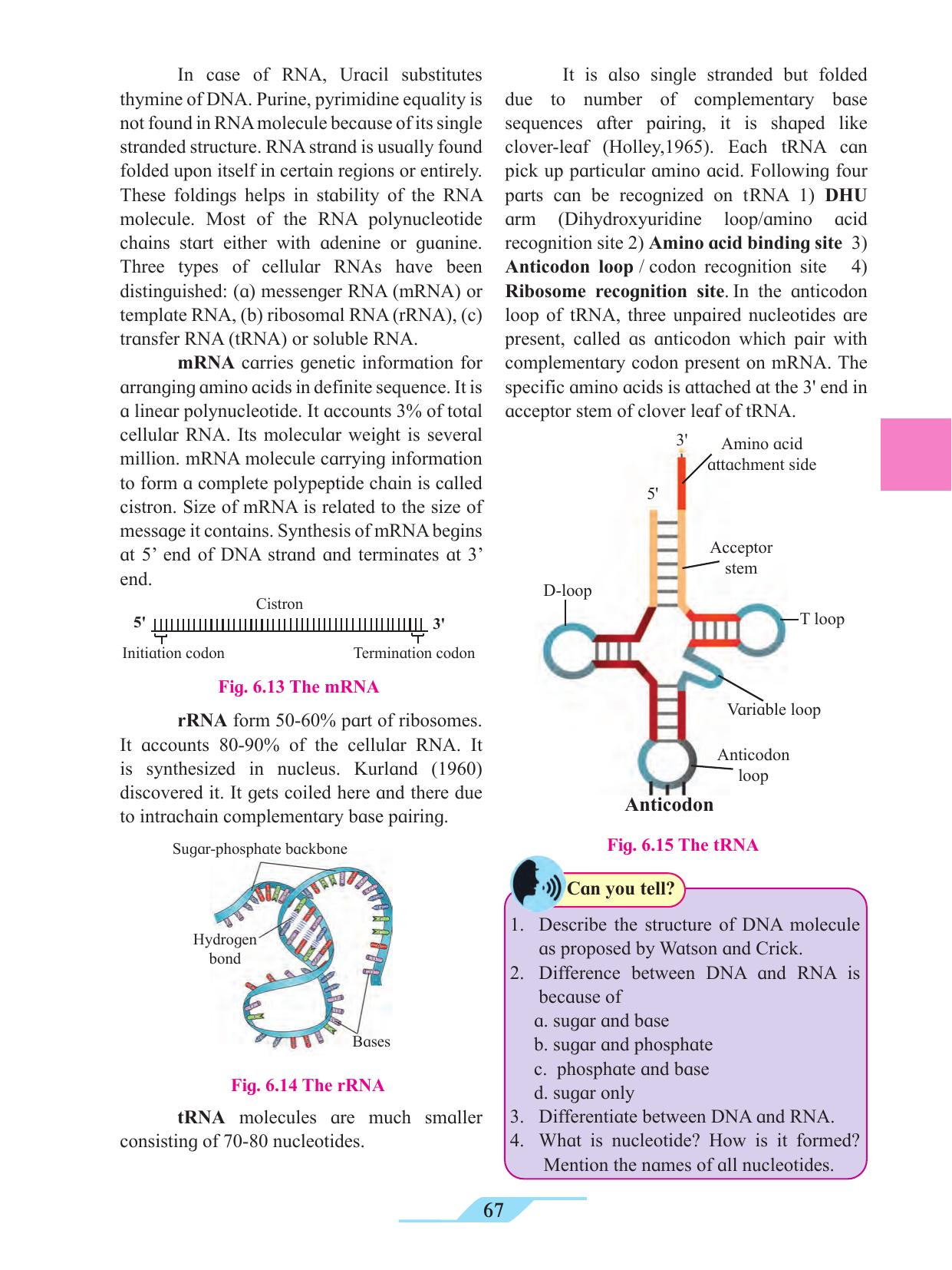 Maharashtra Board Class 11 Biology Textbook - Page 77