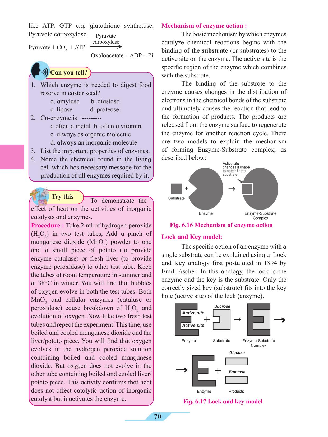 Maharashtra Board Class 11 Biology Textbook - Page 80