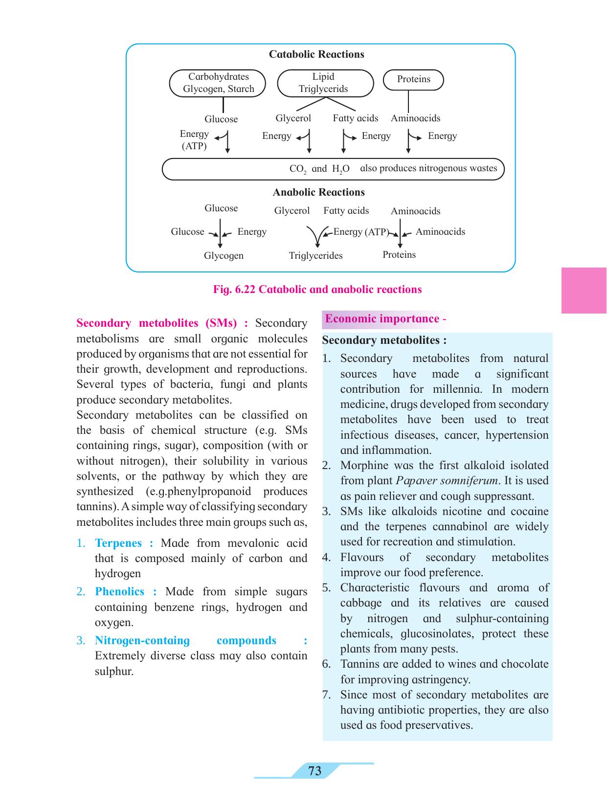 Maharashtra Board Class 11 Biology Textbook - Page 83