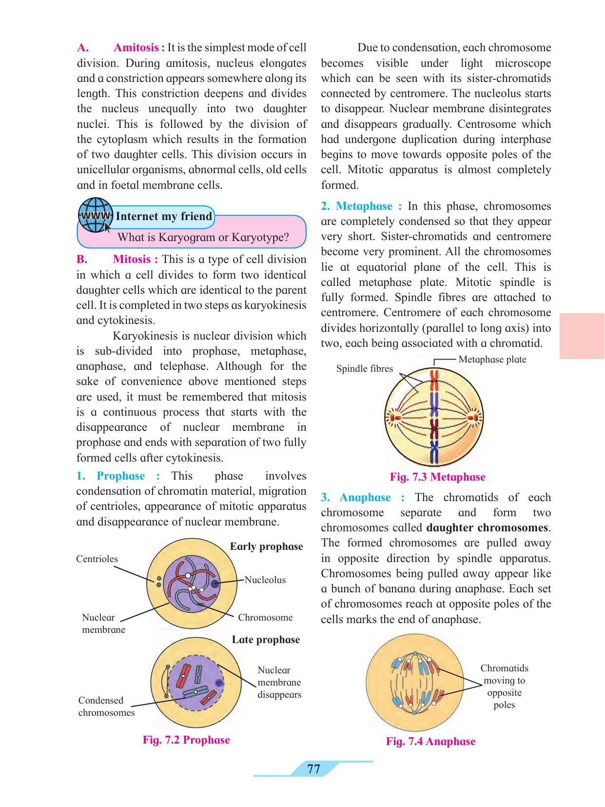 Maharashtra Board Class 11 Biology Textbook - Page 87