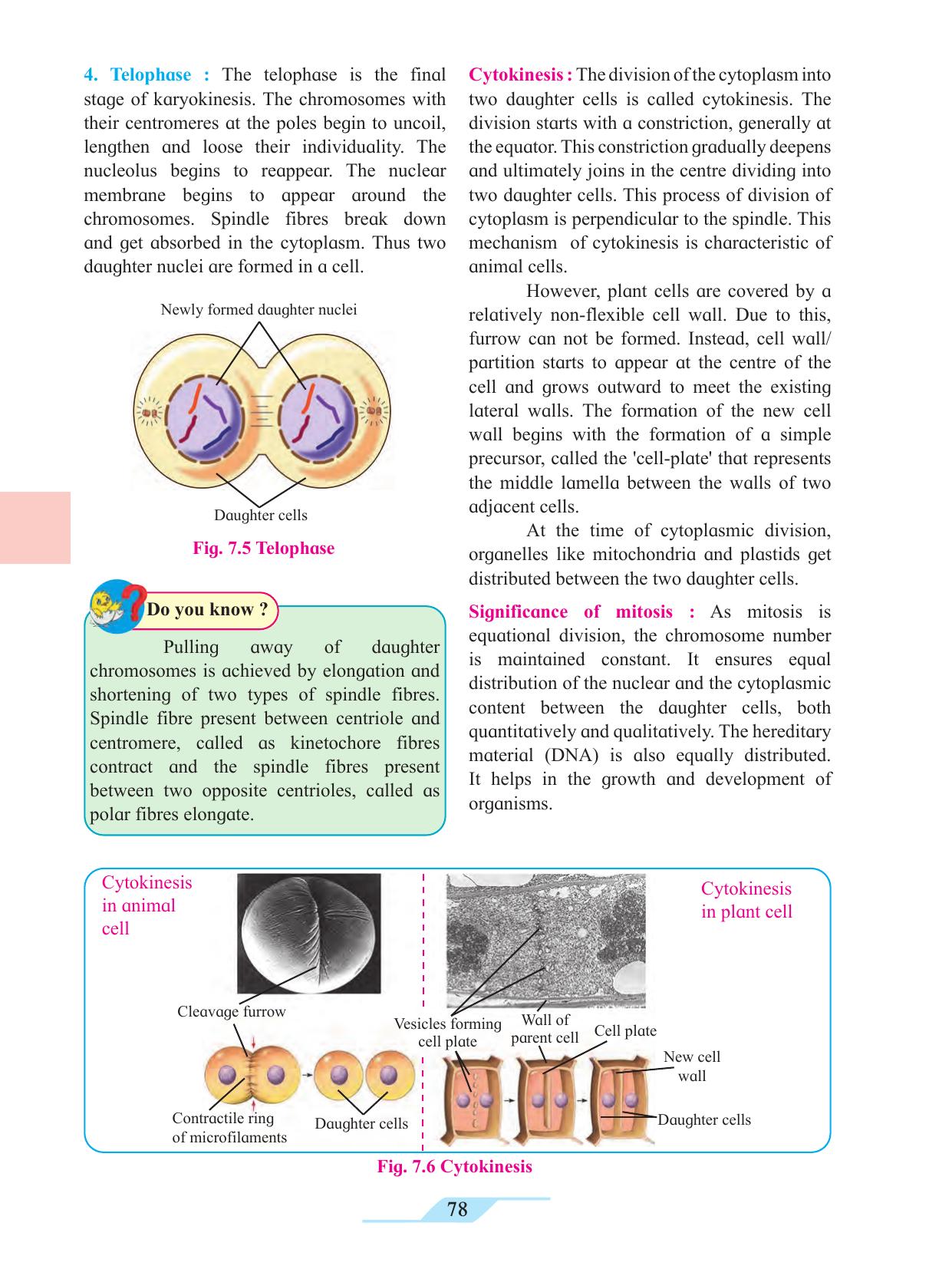 Maharashtra Board Class 11 Biology Textbook - Page 88