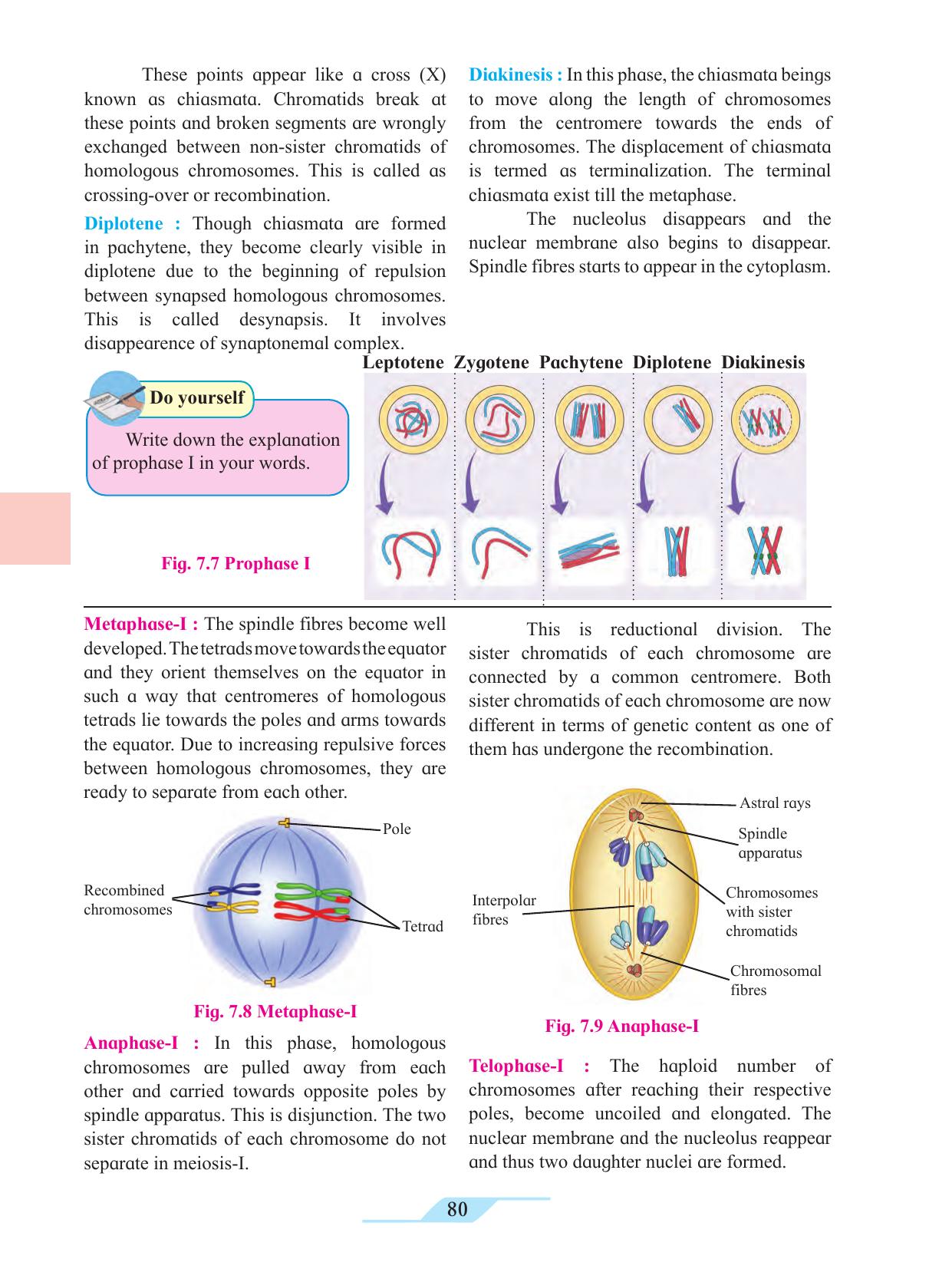Maharashtra Board Class 11 Biology Textbook - Page 90