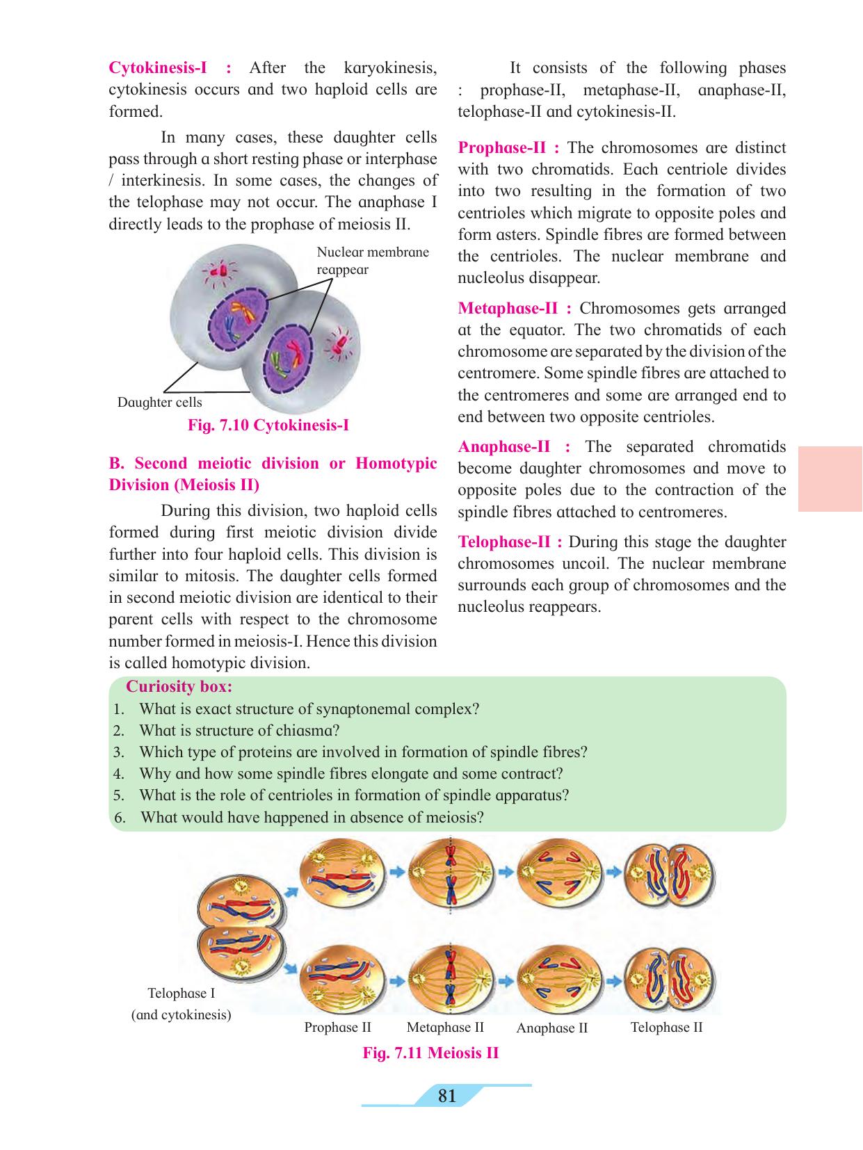 Maharashtra Board Class 11 Biology Textbook - Page 91