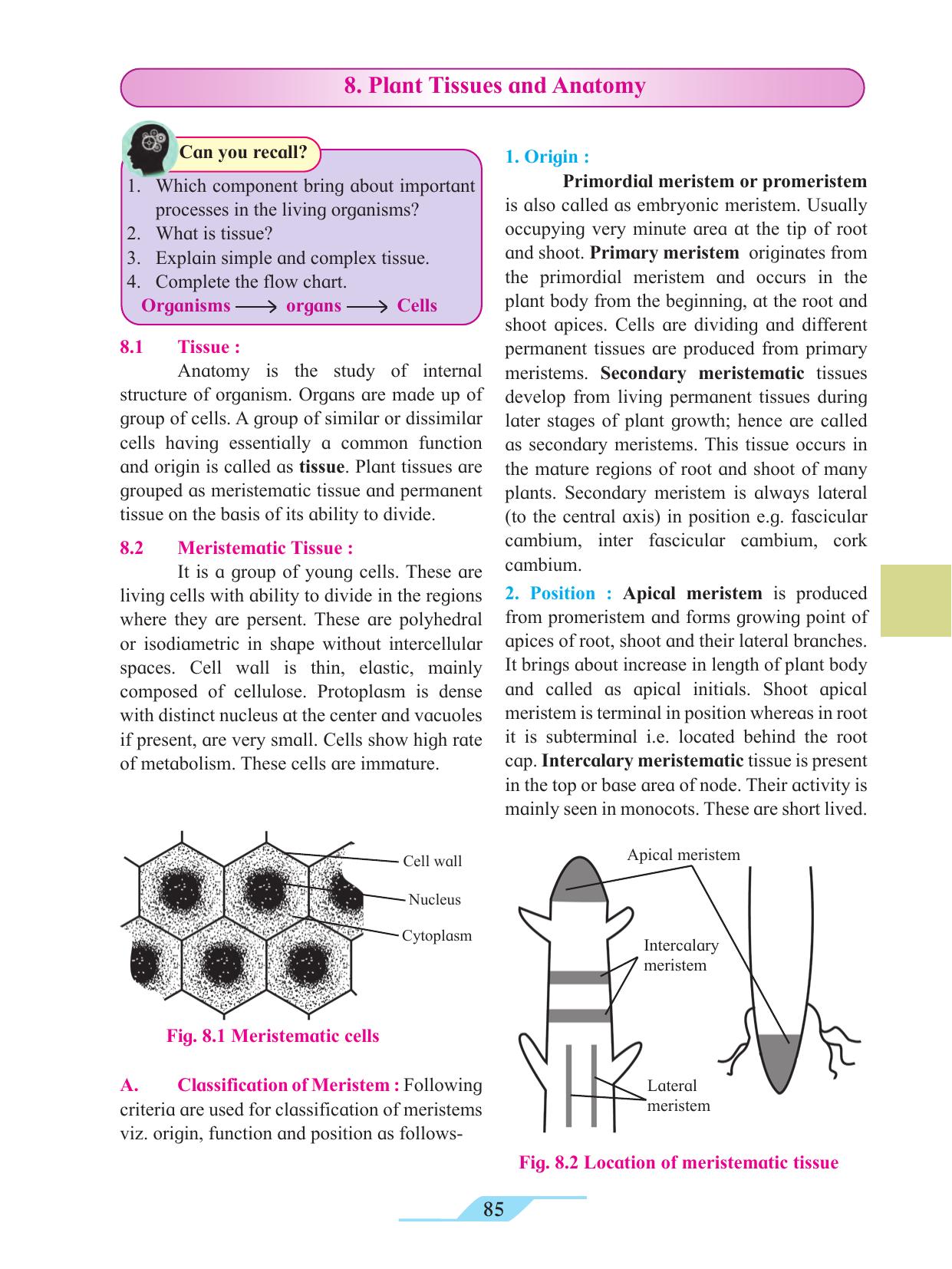 Maharashtra Board Class 11 Biology Textbook - Page 95