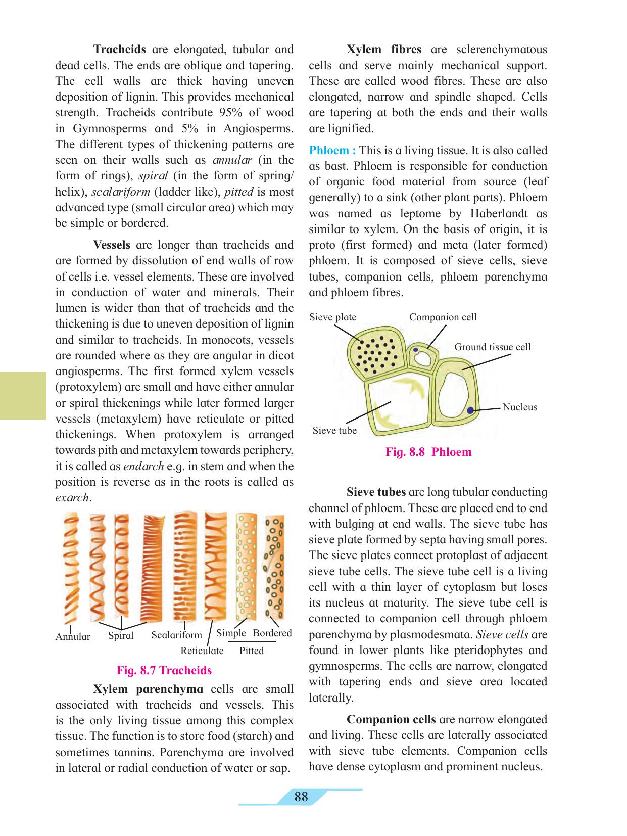 Maharashtra Board Class 11 Biology Textbook - Page 98