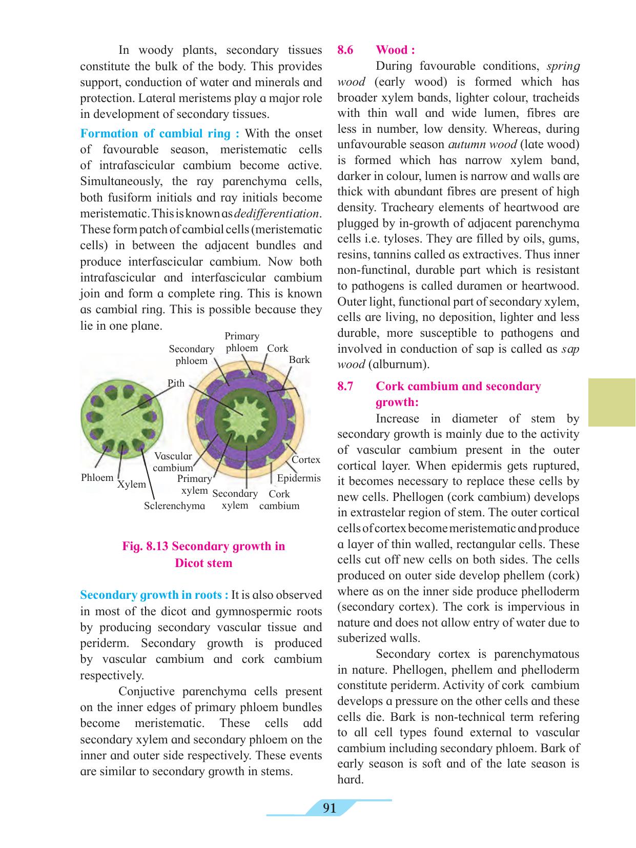 Maharashtra Board Class 11 Biology Textbook - Page 101