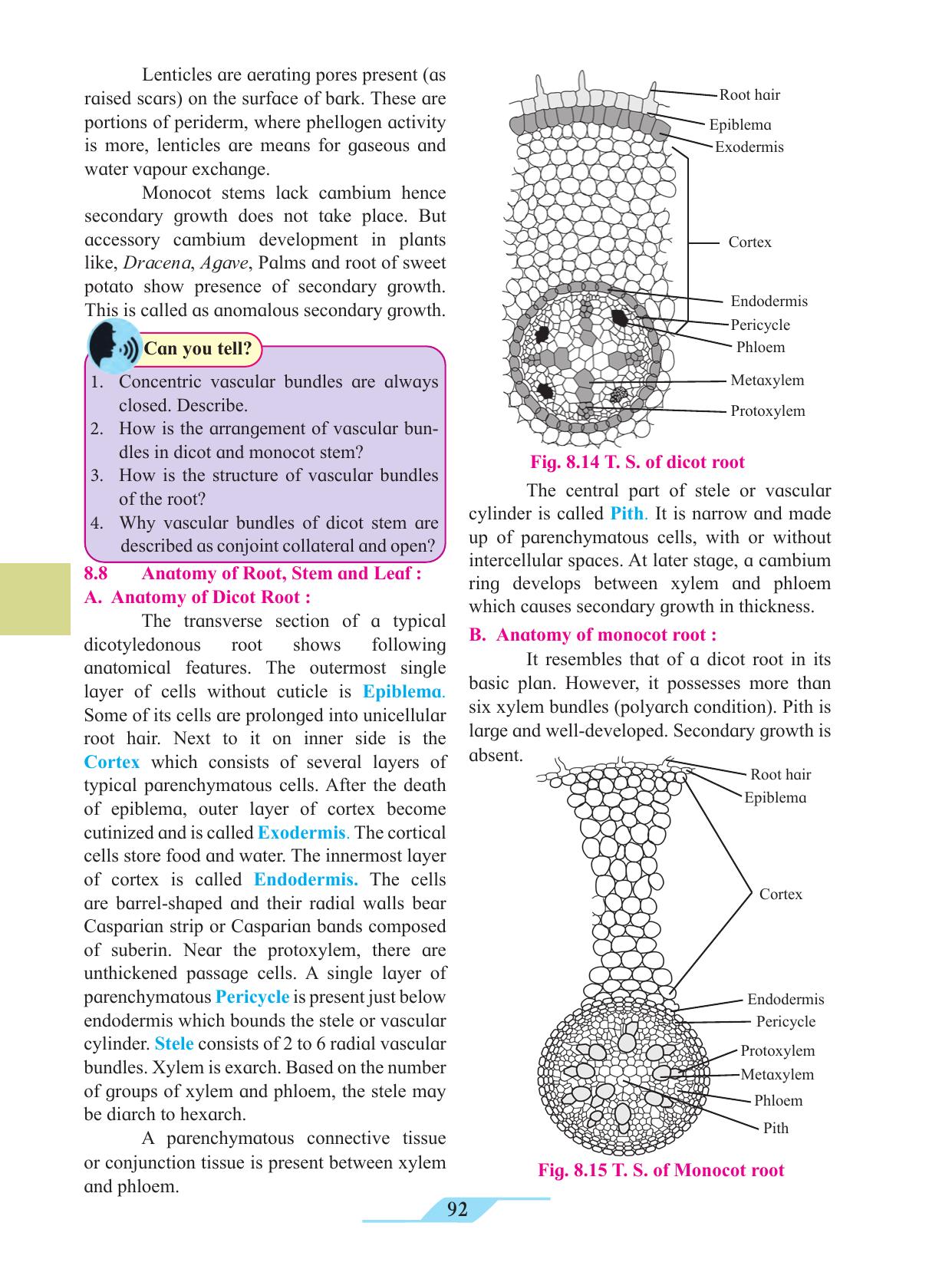 Maharashtra Board Class 11 Biology Textbook - Page 102