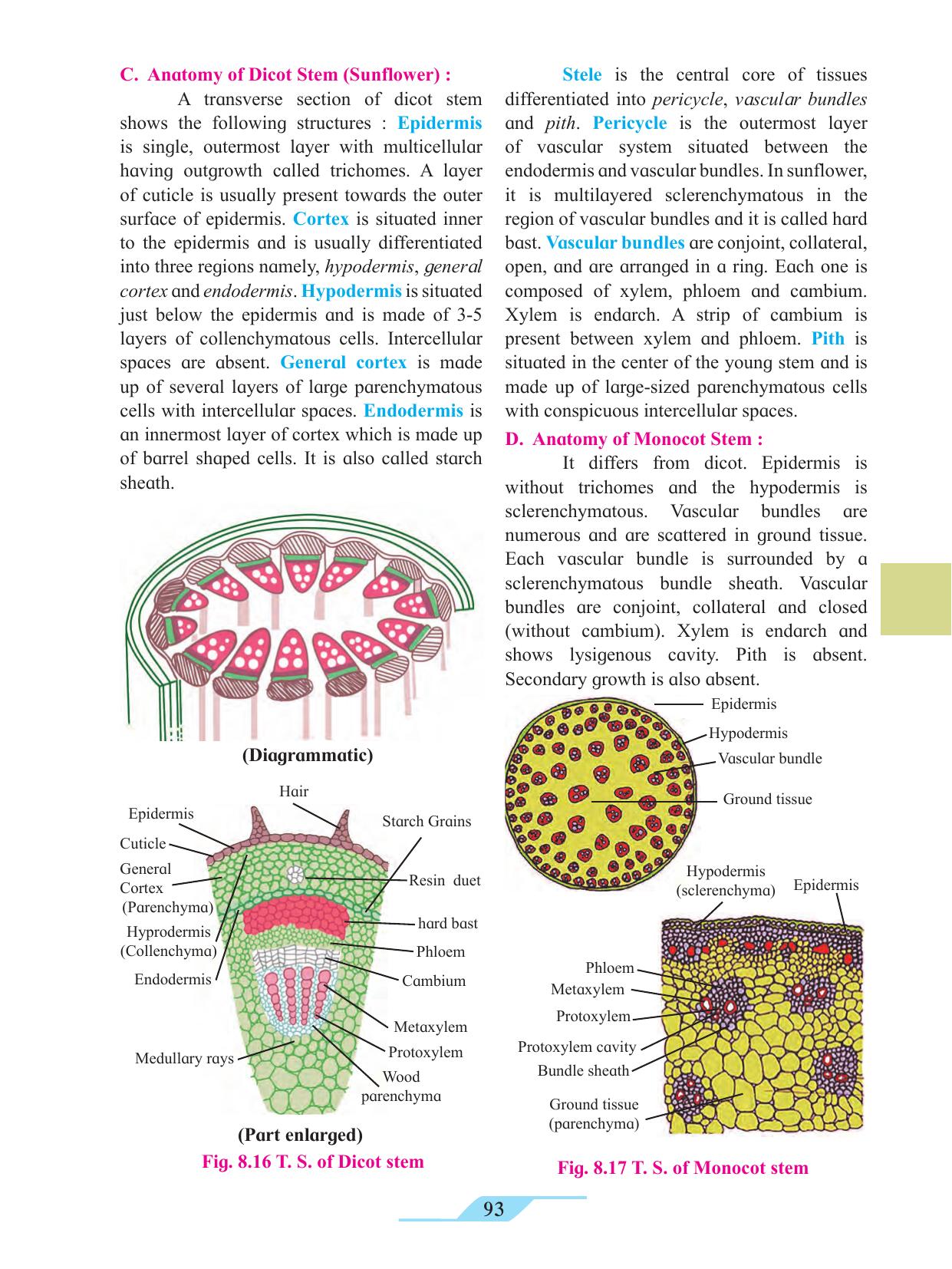 Maharashtra Board Class 11 Biology Textbook - Page 103
