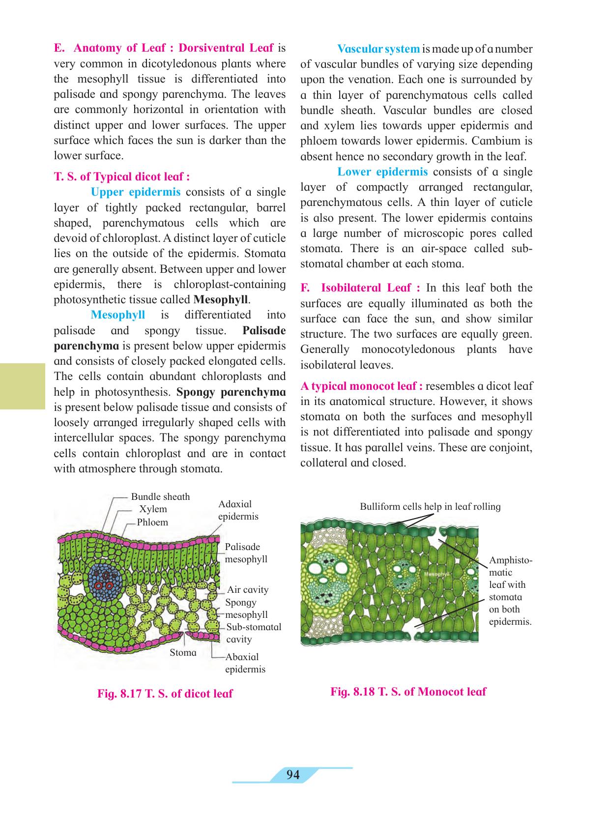 Maharashtra Board Class 11 Biology Textbook - Page 104