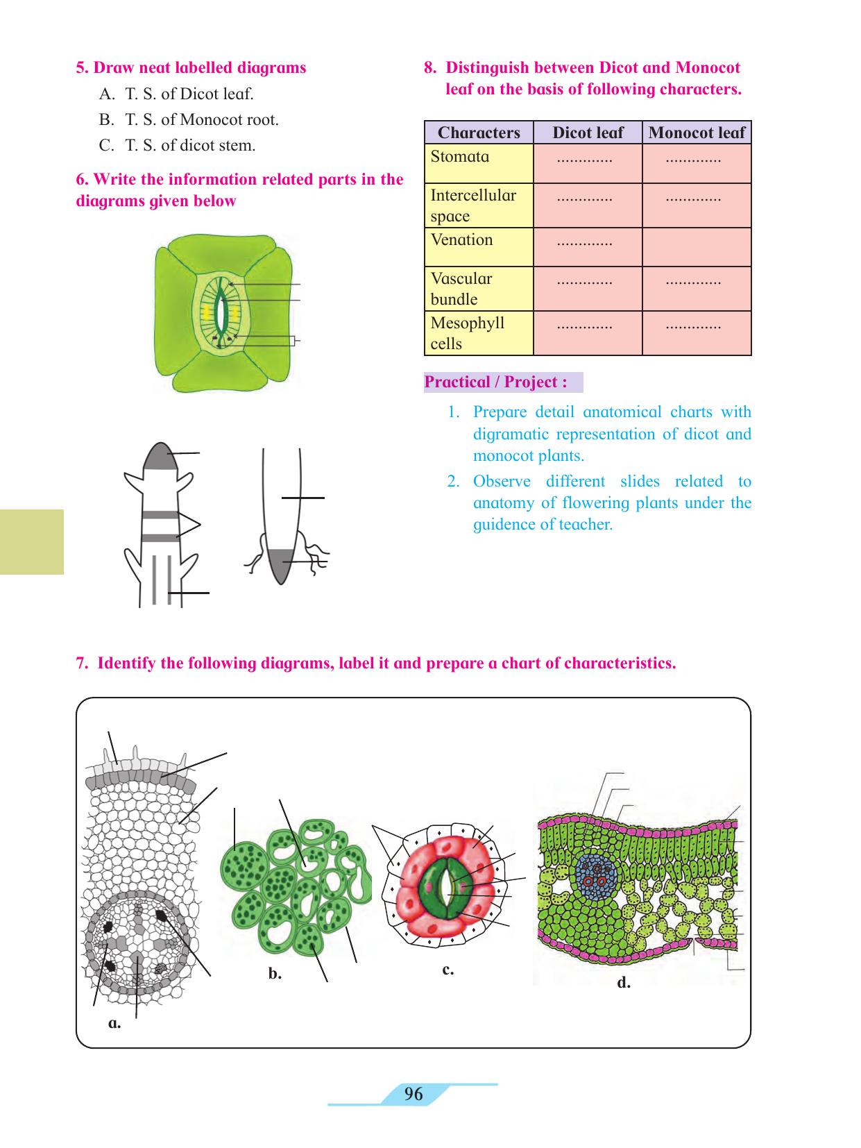 Maharashtra Board Class 11 Biology Textbook - Page 106