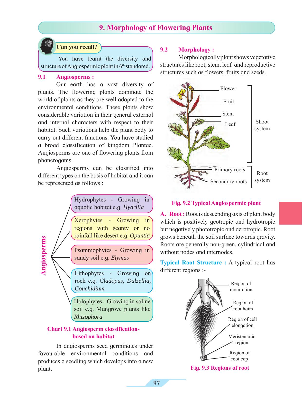 Maharashtra Board Class 11 Biology Textbook - Page 107