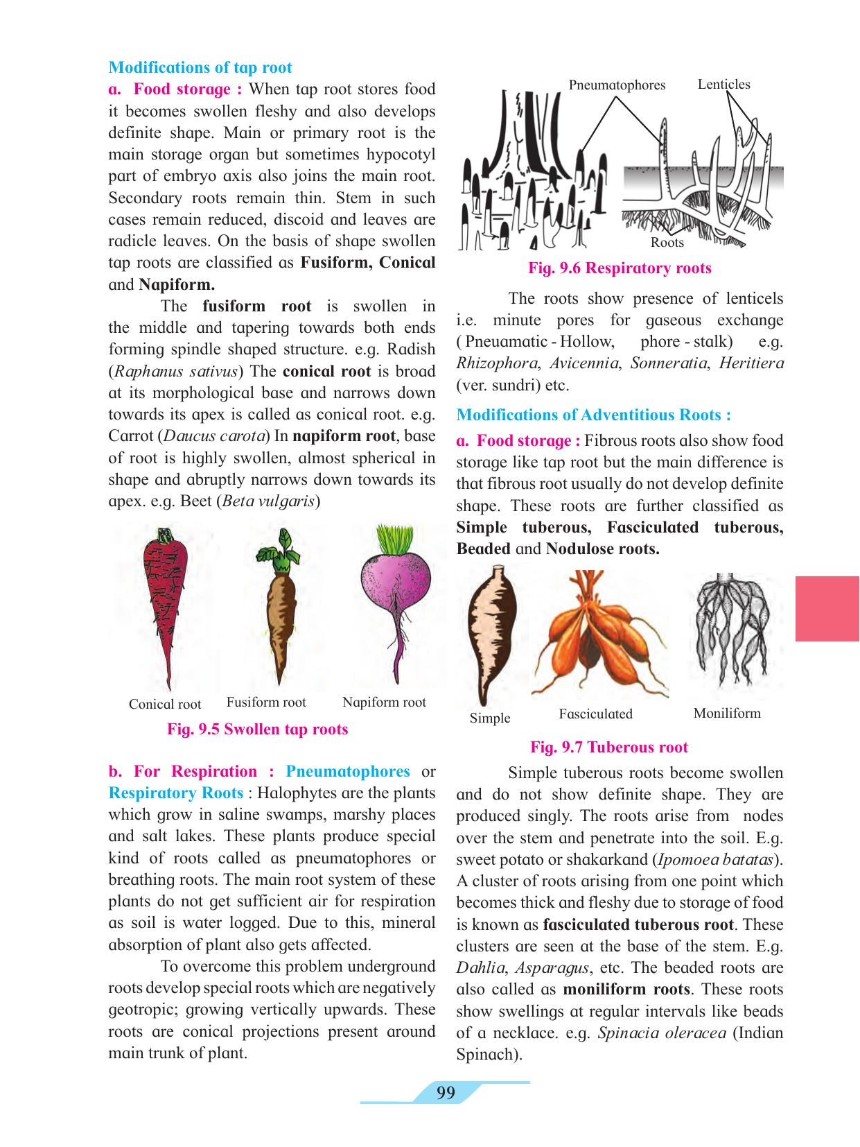Maharashtra Board Class 11 Biology Textbook - Page 109