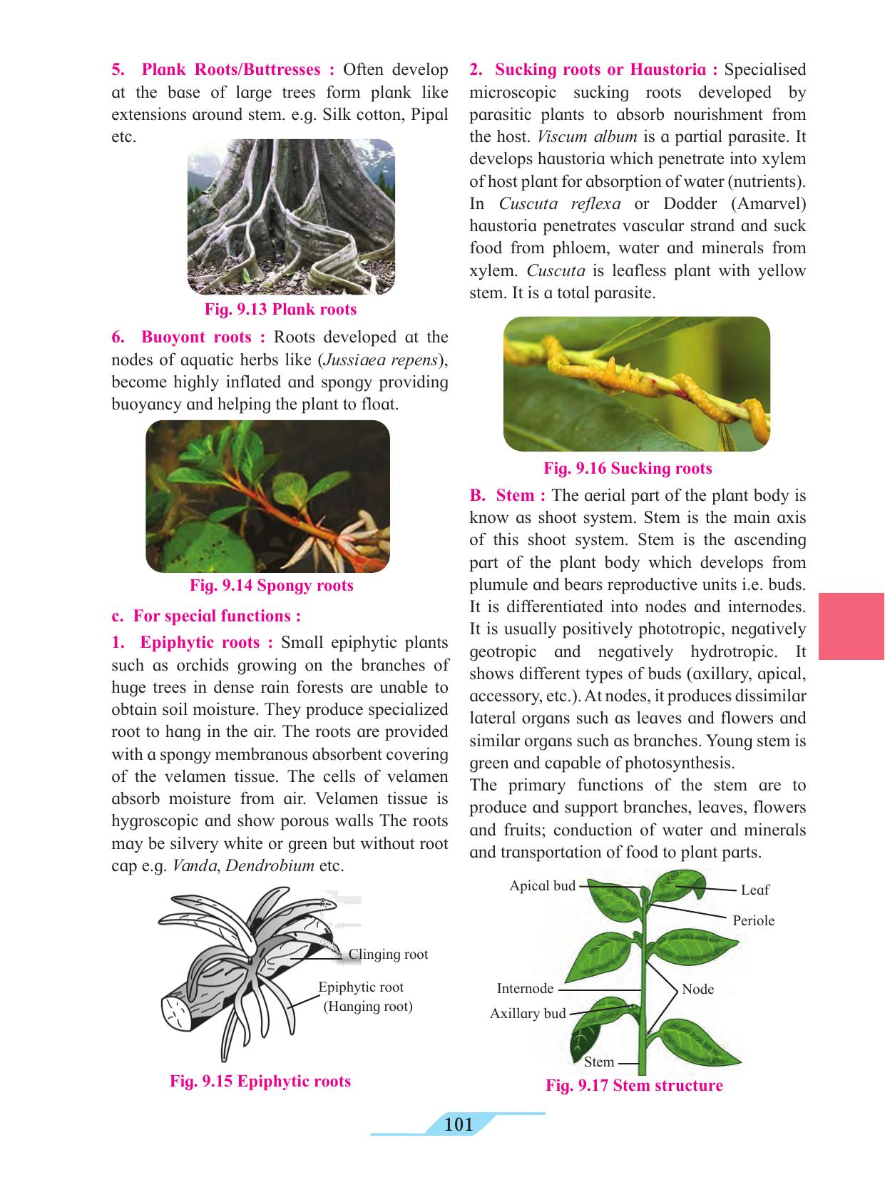 Maharashtra Board Class 11 Biology Textbook - Page 111