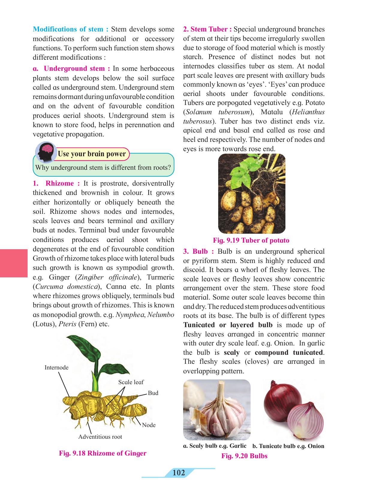 Maharashtra Board Class 11 Biology Textbook - Page 112